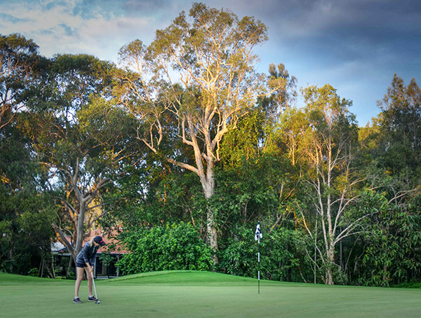 peregian springs golf course review