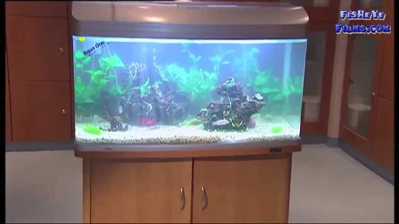 aqua one fish tank reviews