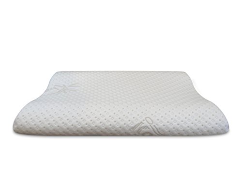 dentons low profile pillow review