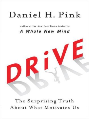 drive the surprising truth about what motivates us review