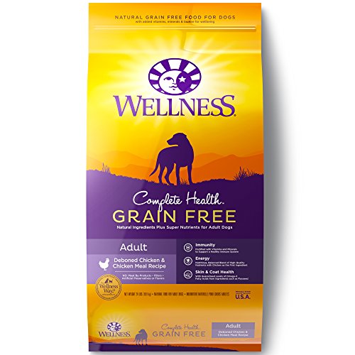 wellness grain free dog food reviews